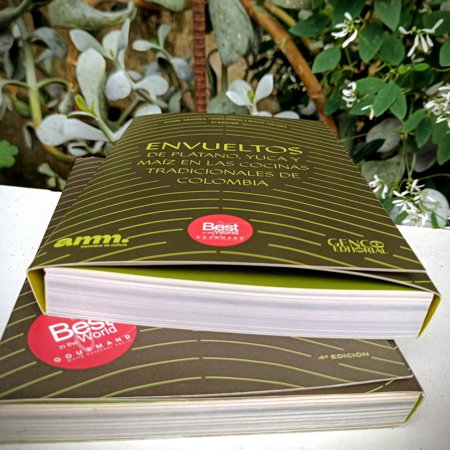 Libro: ENVUELTOS de plátano, yuca y maíz en las cocinas tradicionales de Colombia (5ª edición) - Imagen 4