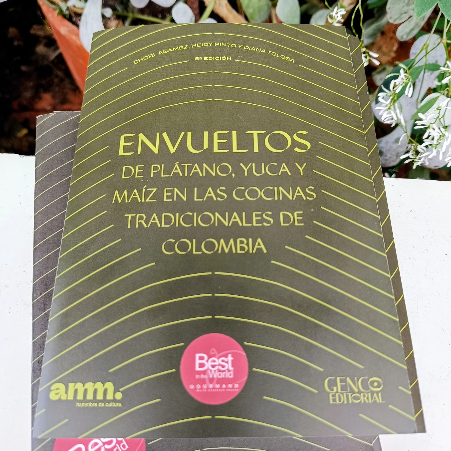 Libro: ENVUELTOS de plátano, yuca y maíz en las cocinas tradicionales de Colombia (5ª edición)